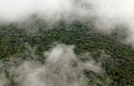 Imagen referencial de cielo nublado en la Amazonía.