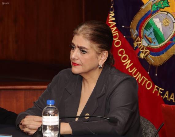 Mónica Palencia durante una rueda de prensa del Bloque de Seguridad.