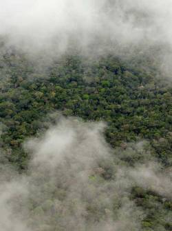 Imagen referencial de cielo nublado en la Amazonía.