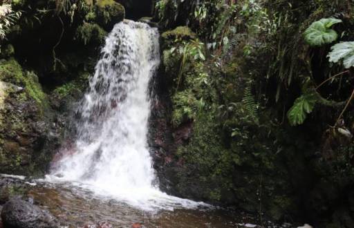 Cascada en el bosque Baquerizo Moreno en Tungurahua.