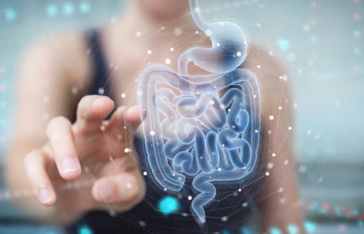 La microbiota intestinal desempeña un papel crucial en la salud del sistema inmunológico.