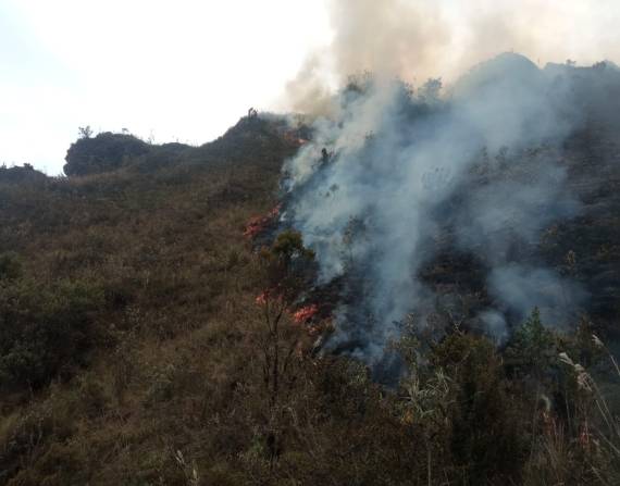 Incendio en el Parque Nacional Cajas, en Cuenca.