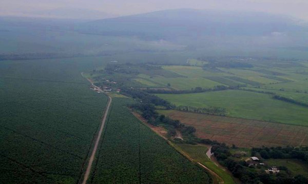 En 90 días podría ser rematada la hacienda Clementina