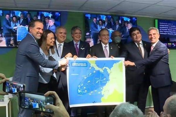 Un millón de dólares para conservar el Corredor Marino del Pacífico