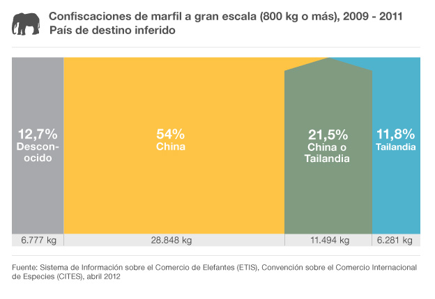 Matan elefantes con ametralladoras por el marfil