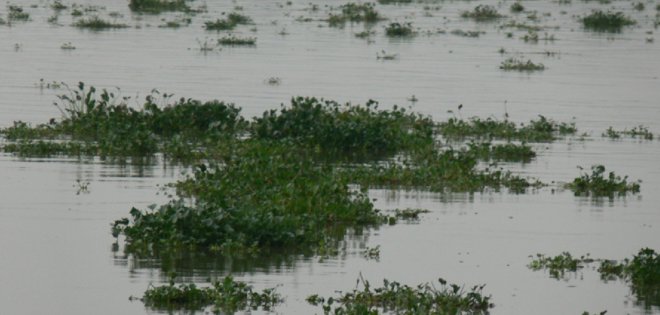 Rescatan vivo a un hombre que estuvo 12 horas en el río Guayas