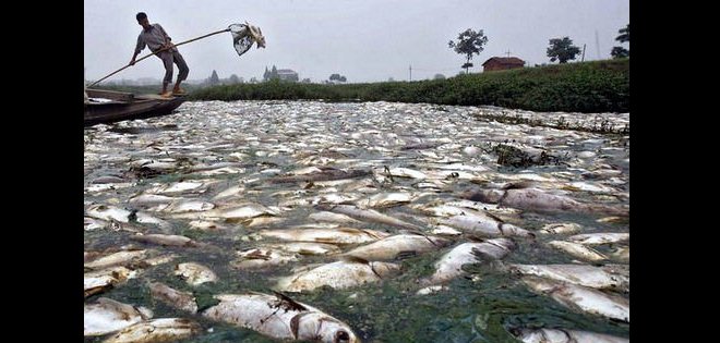 Conozca a Citarum, el río más sucio de la tierra