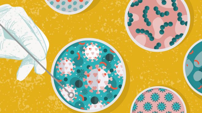 Coronavirus: 7 avances científicos que se han logrado