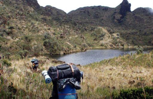 El Parque Nacional Llanganates tiene lagunas cristalinas y 50 tipos de mamíferos.