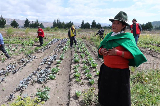 Ecuador reconoce a sus mujeres rurales en campaña de FAO