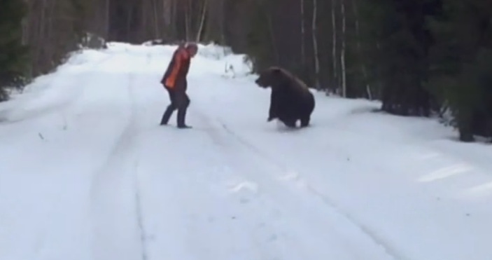 La manera más impresionante de librarse del ataque de un oso