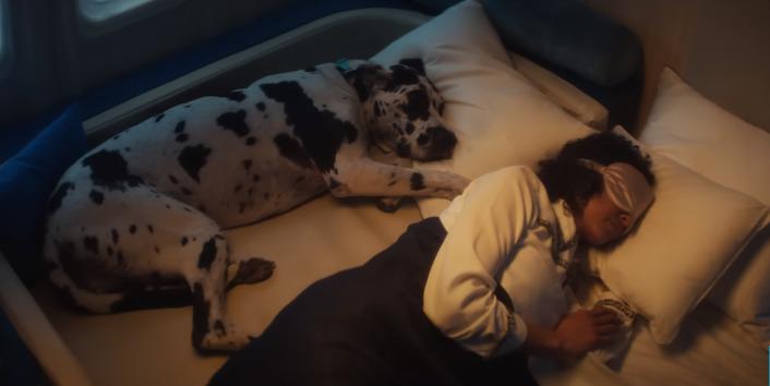 Mujer durmiendo junto a su mascota en un vuelo de Bark Air.