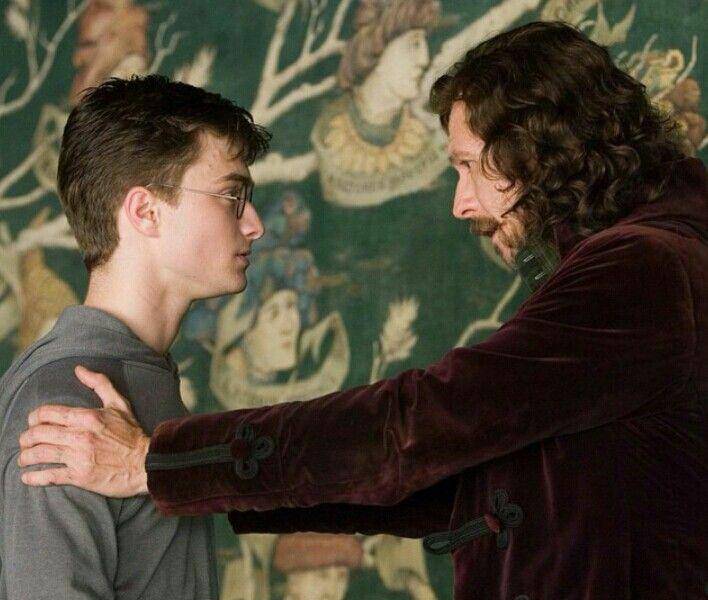 Sirius Black junto a Harry Potter