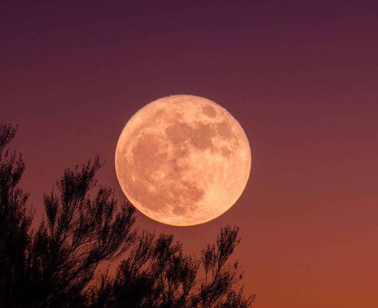 Imagen referencial de la luna de fresa.
