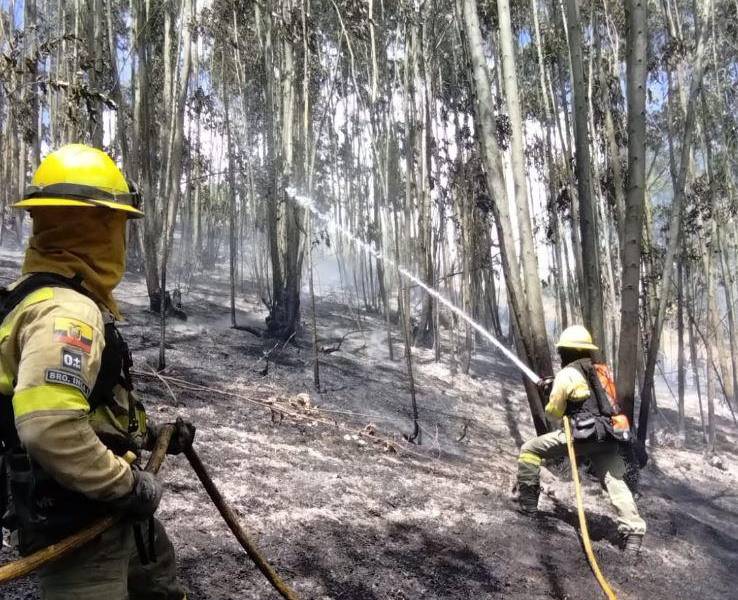 Incendio controlado en la vía a Nono.