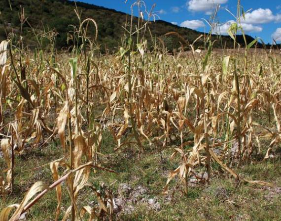 La sequía provoca racionamientos de agua potable en al menos nueve provincias de Ecuador