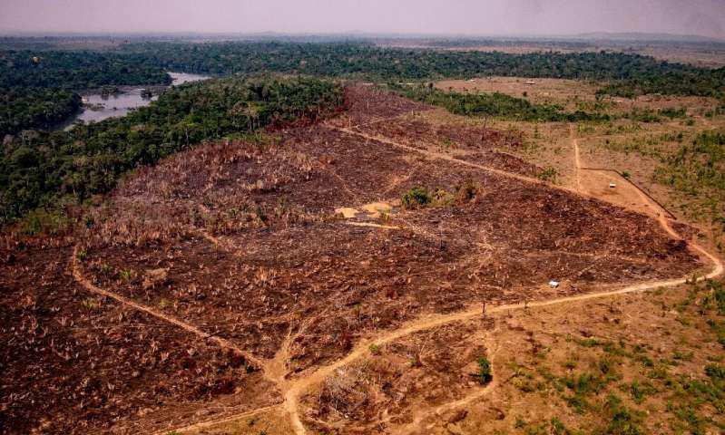 La Amazonía perdió un área equivalente a Chile en 36 años