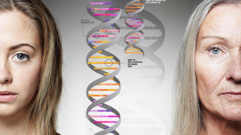 Qué son los genes saltarines y por qué pueden ser clave para frenar el envejecimiento