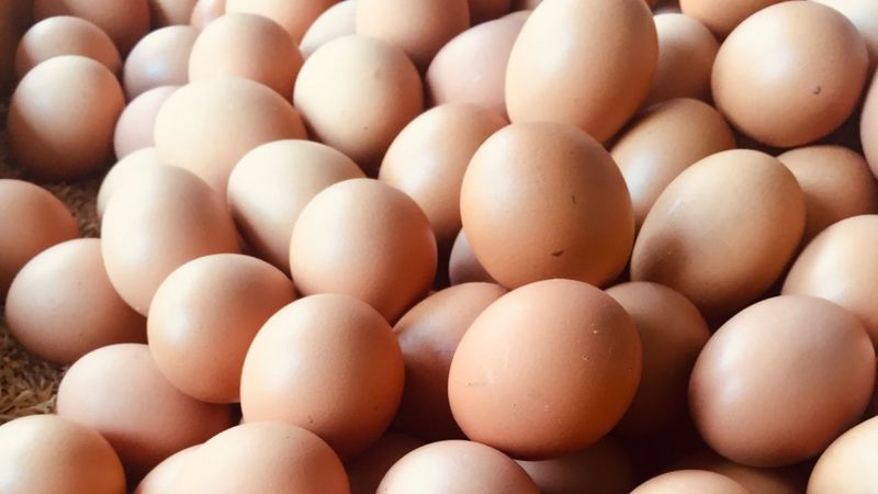 8 datos fascinantes sobre los huevos