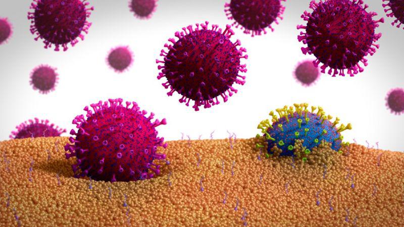 Mutaciones del coronavirus: ¿cómo será su evolución?