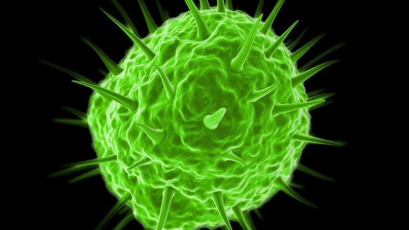 Qué son los pandoravirus: ¿en realidad son virus?