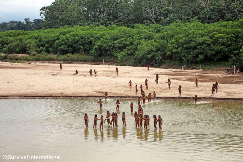 Un pueblo indígena no contactado en la Amazonía peruana se deja ver en imágenes inéditas