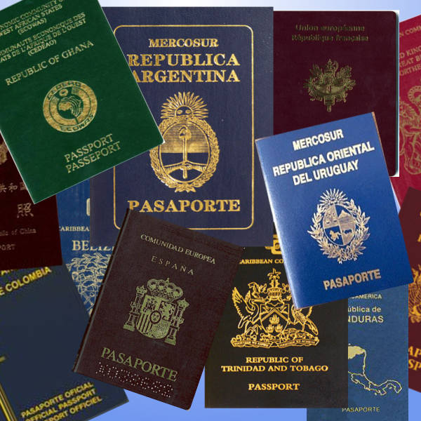 ¿qué Significa El Color De Su Pasaporteemk 5800