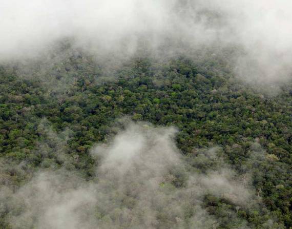 Imagen referencial de cielo nublado en la Amazonía.