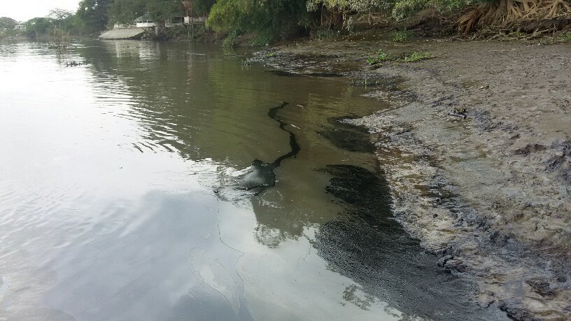 Municipio de Guayaquil identifica a empresa que provocó mancha de aceite en río Daule