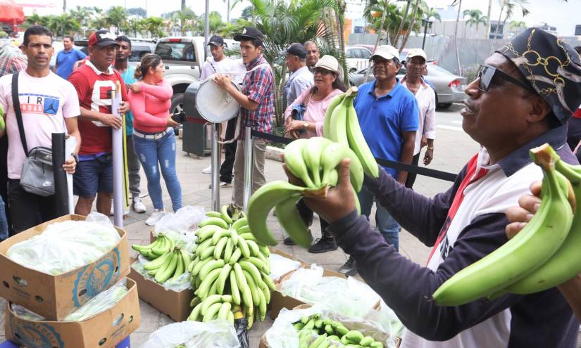 BanEcuador abre el créditos de hasta 20 mil dólares para reactivar los  negocios y cultivos afectados
