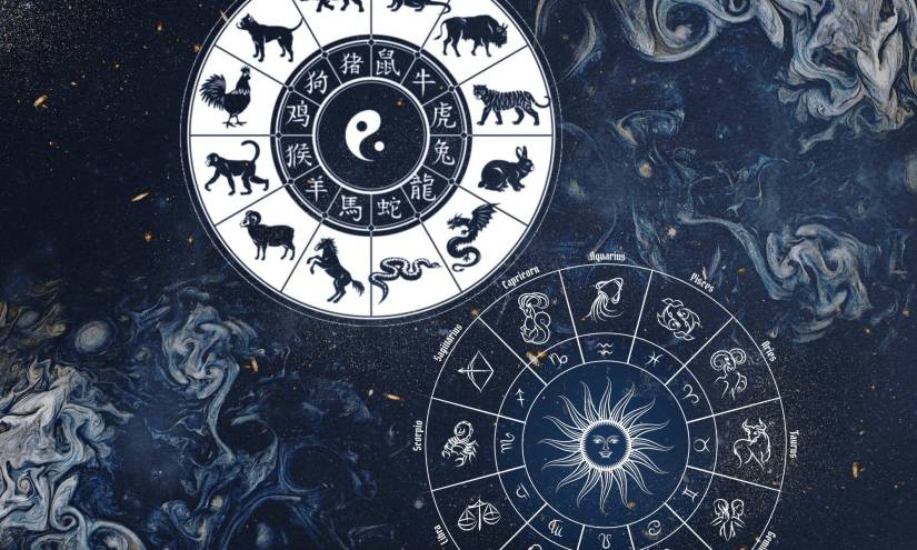 caracteres del zodiaco chino