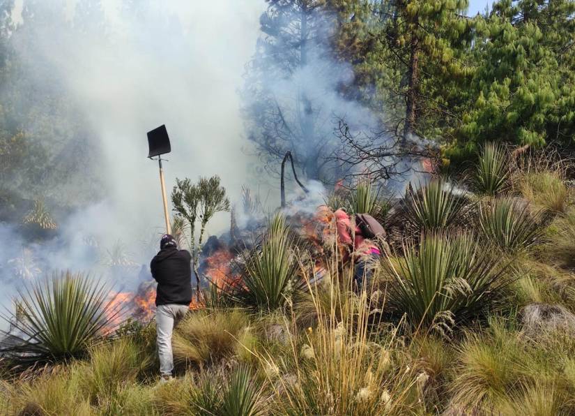 Incendio forestal en el Parque Nacional El Cajas