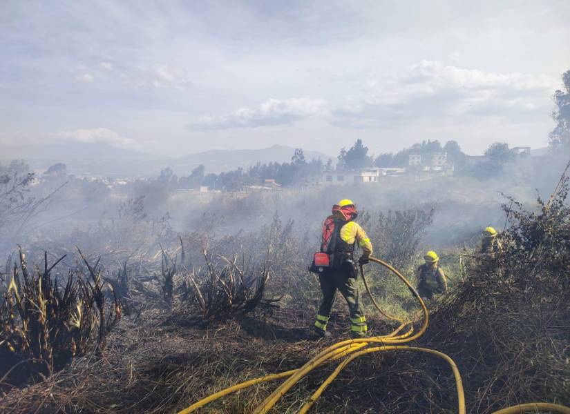 El personal realiza labores de liquidación en la zona.