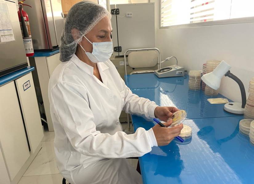 Rocío Zapata analiza unas muestras en el laboratorio.