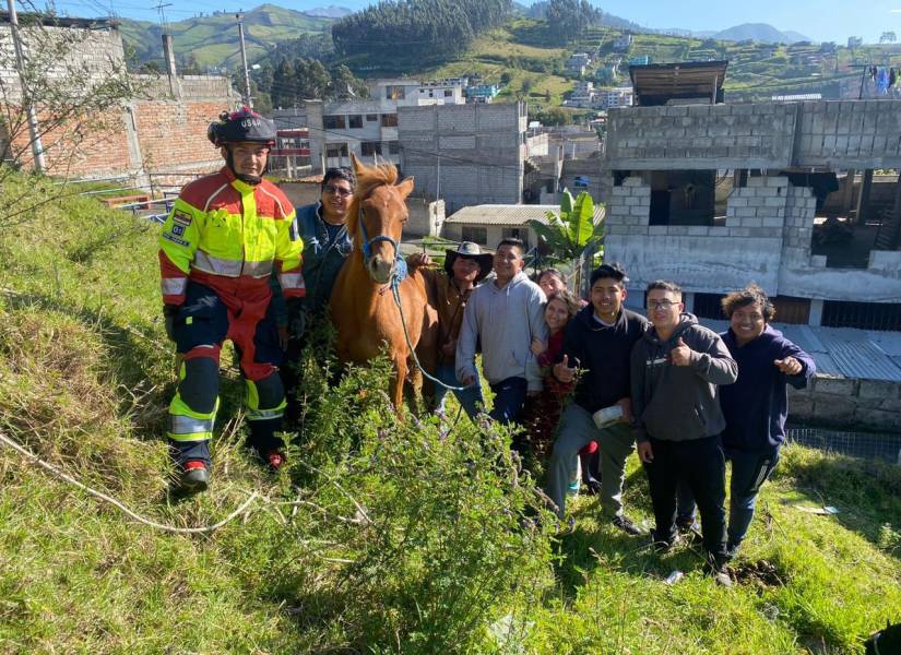 Los vecinos junto a los bomberos y el caballo rescatado.