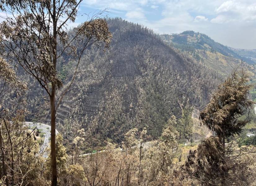 Desde el barrio Bolaños se puede observar los daños en el cerro Auqui por el incendio.