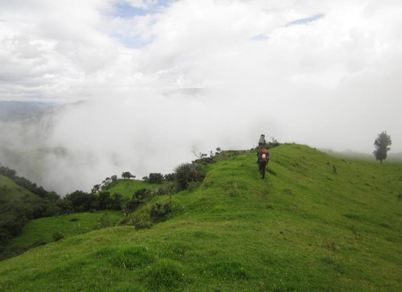 El bosque de Tangán, ubicado en el cantón Sigchos, en Cotopaxi.