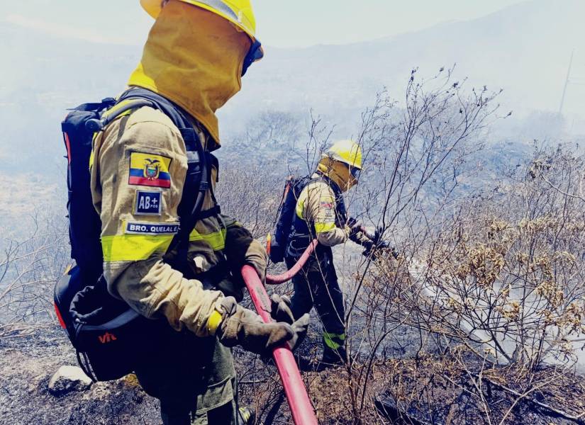 Las condiciones climáticas se prestan para incendios forestales.