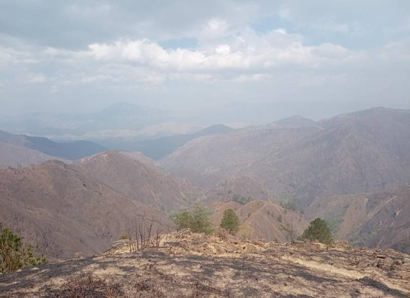 Debido a la sequía, Loja enfrentó decenas de incendios forestales que consumieron la vegetación.