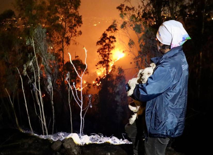 Personal de la UBA rescató a mascotas durante el incendio en Nayón e Itulchahi.