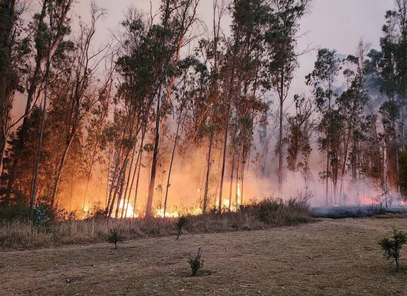 Imagen de una parte de los incendios en el Barrio Bolaños av. Simón Bolívar, av. De los Conquistadores y Bellavista.