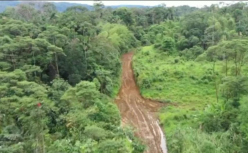 Masacre en Orellana: cinco asesinados en sector de minería ilegal de Joya de los Sachas