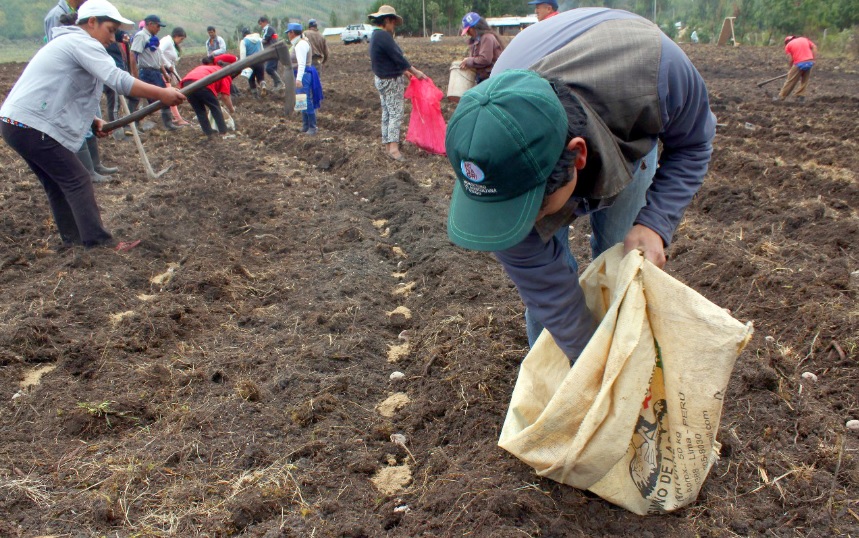 Ecuador será sede de la próxima Conferencia Regional de la FAO