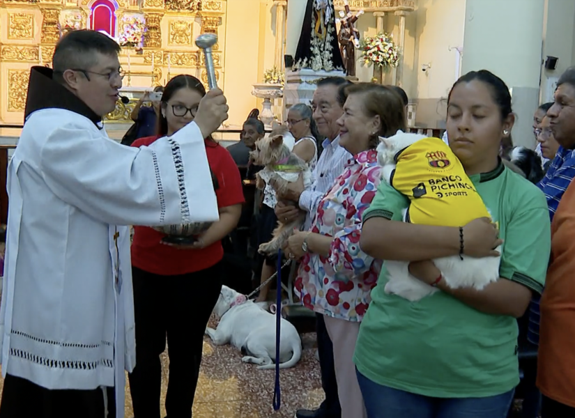 El sacerdote arroja el agua bendita a las mascotas en Guayaquil