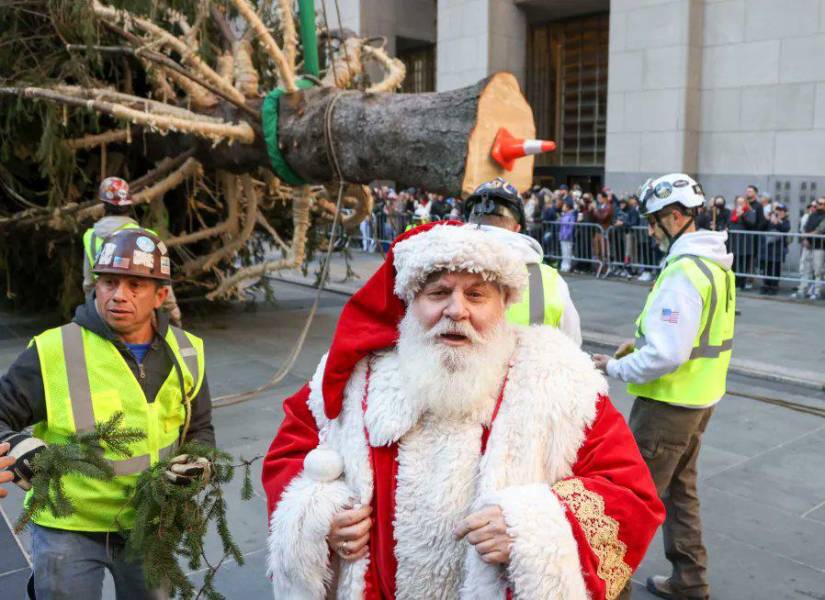 Se levanta el árbol de Navidad del Rockefeller Center en Nueva York.