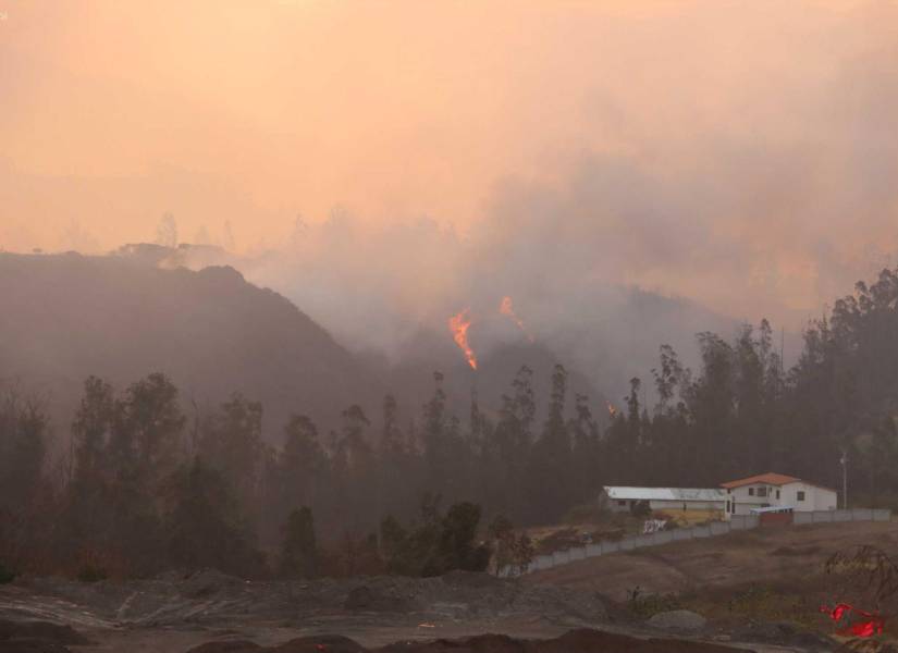 El 4 de septiembre del 2024 otro incendio forestal ocurrió en Quito, esta vez en Pifo, Valle de Tumbaco.