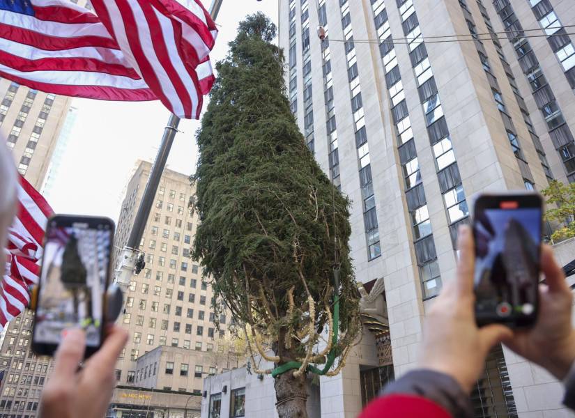 Se levanta el árbol de Navidad del Rockefeller Center en Nueva York.