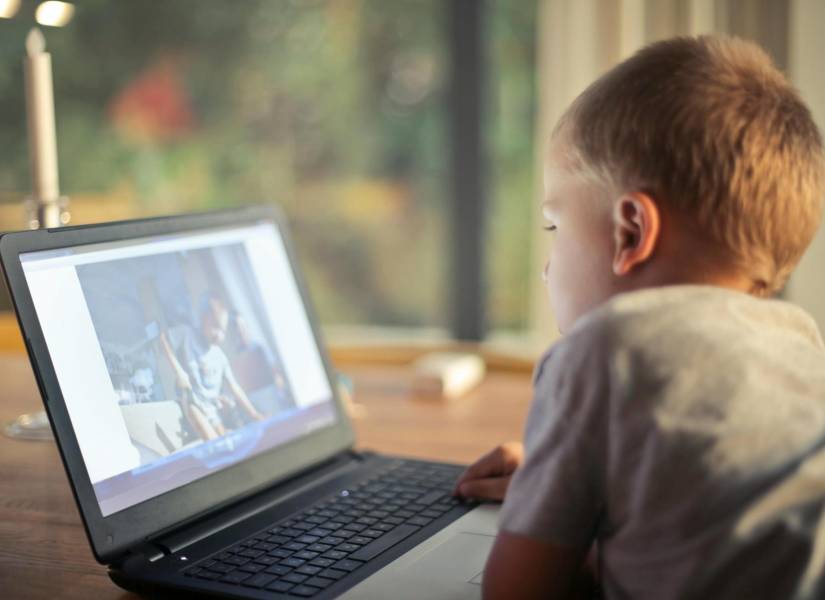 Imagen referencial: Niño pequeño observando un video en la computadora.