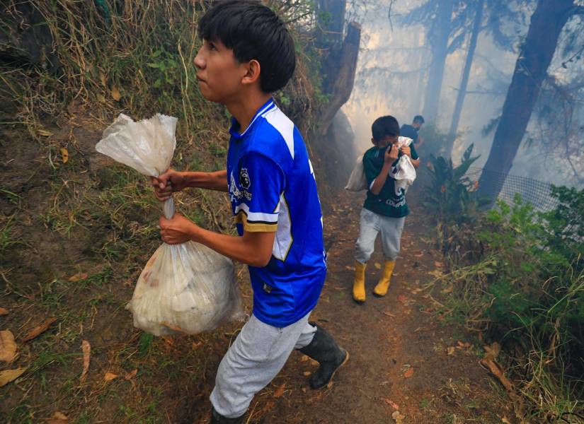 Dos jóvenes sacan sus pertenencias de sus viviendas durante un incendio forestal este miércoles, en Quito.