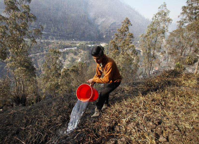 Hombre regando agua en una de las zonas afectadas por el incendio